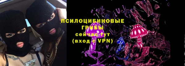 прущие грибы Алексин