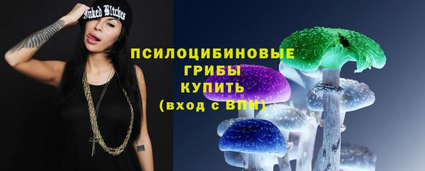 меф Арсеньев